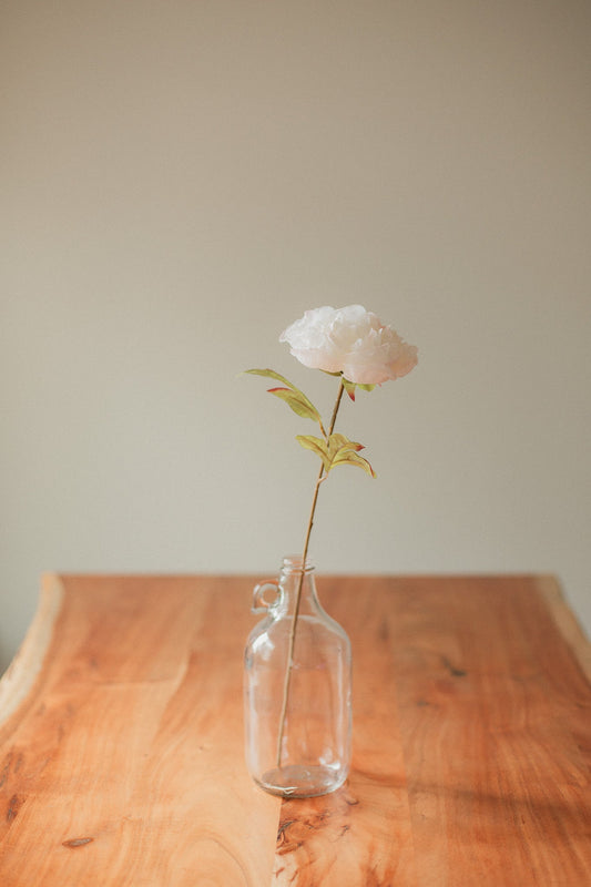 大輪の芍薬