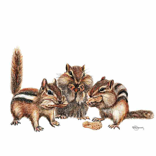 3 Chipmunks - Colored wildlife art print
