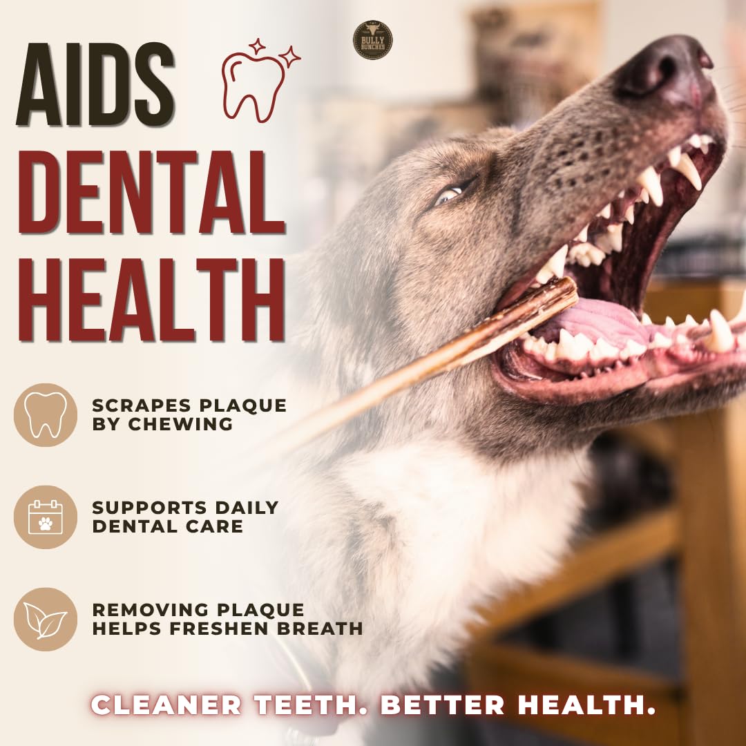Bully Bunches Premium (12" Standard - 5 Pack) Odour-Free, Consistently Sized Bully Sticks for Medium Dogs - Long Lasting Oral Care Chews - All Natural Single Ingredient, Beef Dog Treat, No Rawhide 🍁 All In One Marketplace Canada