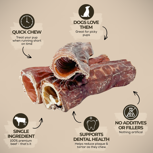 6 Inch Trachea Wrapped in Jerky