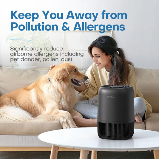 Air Purifiers for Bedroom Home, Air Filter with Fragrance Sponge, H13 True HEPA Filter for Smoke, Allergies, Pollen, Pet Dander, Odor, Dust, Portable Air Purifier for Bedroom Office, MJ012H (BLACK) 🍁 All In One Marketplace Canada