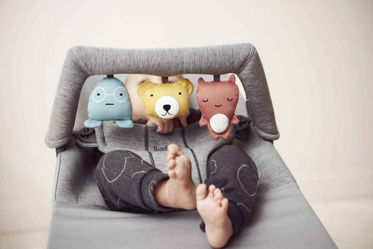 BABYBJORN Toy for Bouncer 🍁 All In One Marketplace Canada