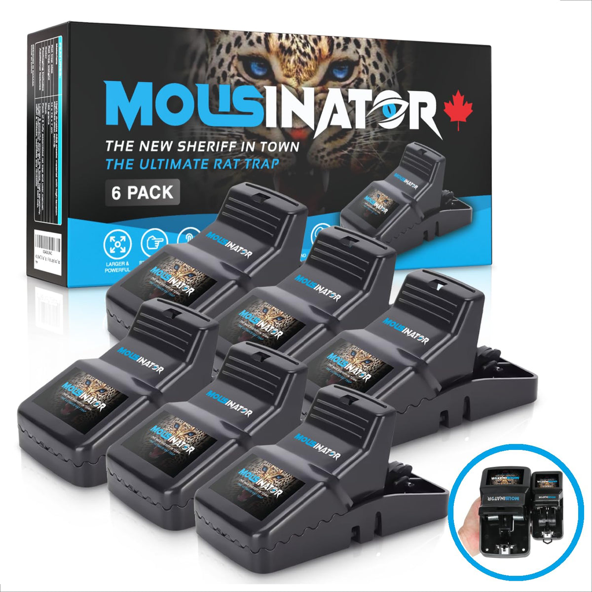 MOUSINATOR Rat Trap | 6-Pack | Large Rat Snap Traps for Indoor and Outdoor Use | Easy to Set | Safe and Reusable Design | Easy to Clean | Effective Powerful Large Mouse Trap that Works Instantly đ All In One Marketplace Canada