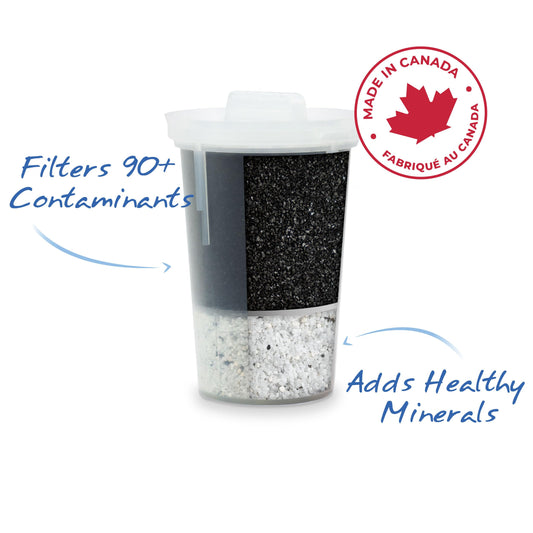 Single Replacement MINA Alkaline Water Filter by Santevia | Single At Home Water Pitcher Filter Adds Minerals and Makes Alkaline Water | Chlorine and Lead Water Filter | Made In Canada 🍁 All In One Marketplace Canada