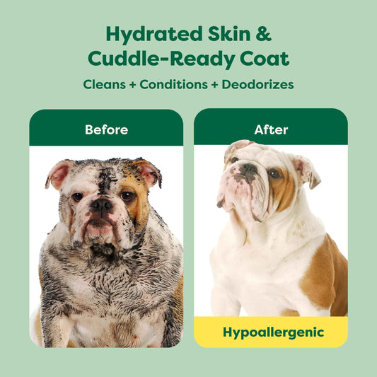 Earth Rated (A Canadian Company), 3-in-1 Soothing Dog Shampoo and Conditioner, Deodorizing Oatmeal Shampoos for Dogs and Puppies, Great for Smelly Pets, White Tea and Basil Scent, 473 ml 🍁 All In One Marketplace Canada