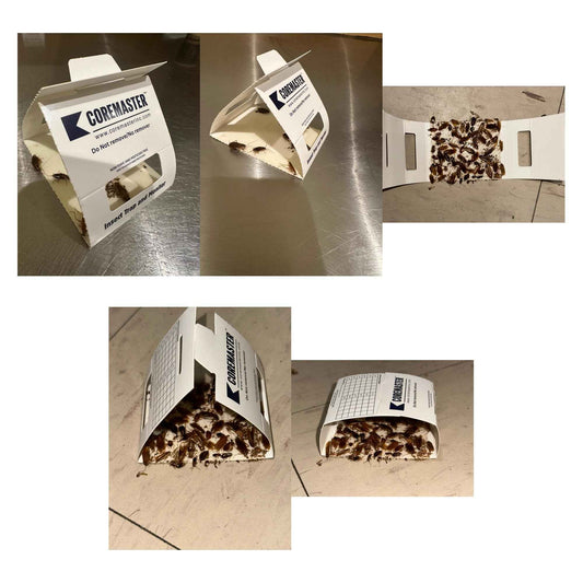 Coremaster Insect/Cockroach Monitor & Traps | Strong Adhesive Boards for Silverfish, Roaches, Ants | for Indoor Use i.e Kitchen, Basement,Garage | Safe, Non-Toxic (6 boards-18 Traps) 🍁 All In One Marketplace Canada