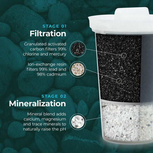 Santevia MINA Alkaline Water Filter Value Pack | 3-Pack At Home Water Pitcher Filter Adds Minerals and Makes Alkaline Water | Chlorine and Lead Water Filter| Made In Canada 🍁 All In One Marketplace Canada