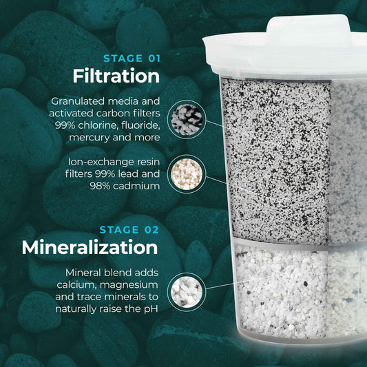 Santevia MINA Alkaline Fluoride Water Filter Value Pack | 3-Pack At Home Water Pitcher Filter Adds Minerals and Makes Alkaline Water | Fluoride, Chlorine & Lead Filteration | American Filtration Media 🍁 All In One Marketplace Canada