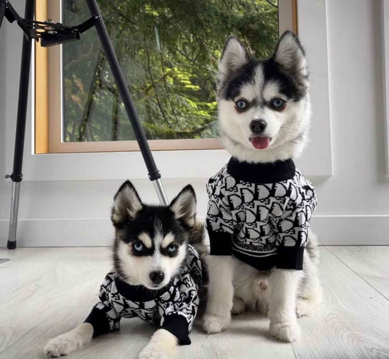 Doggy Drip Sweater – Luxury Streetwear Knit for Dogs