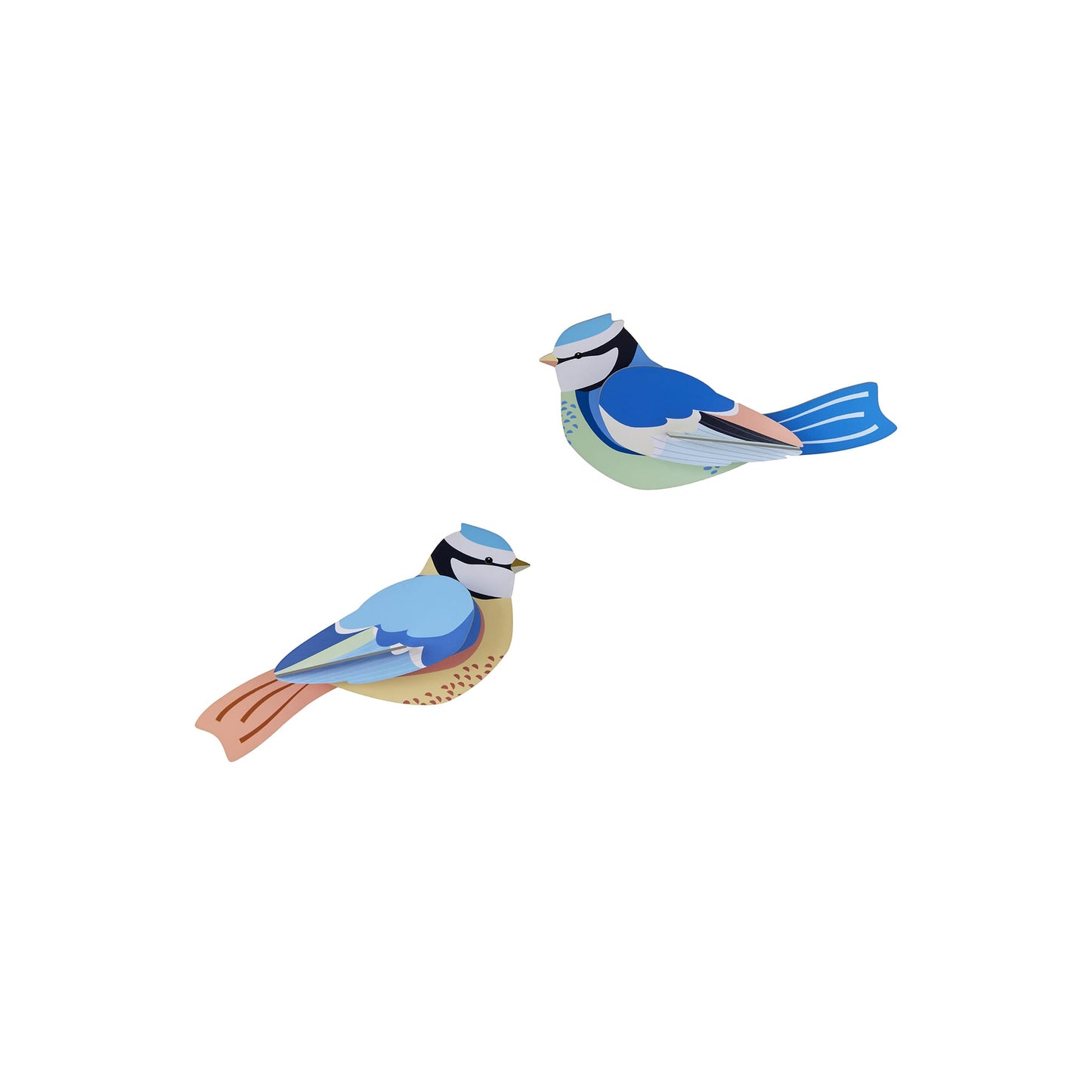 アオガラ