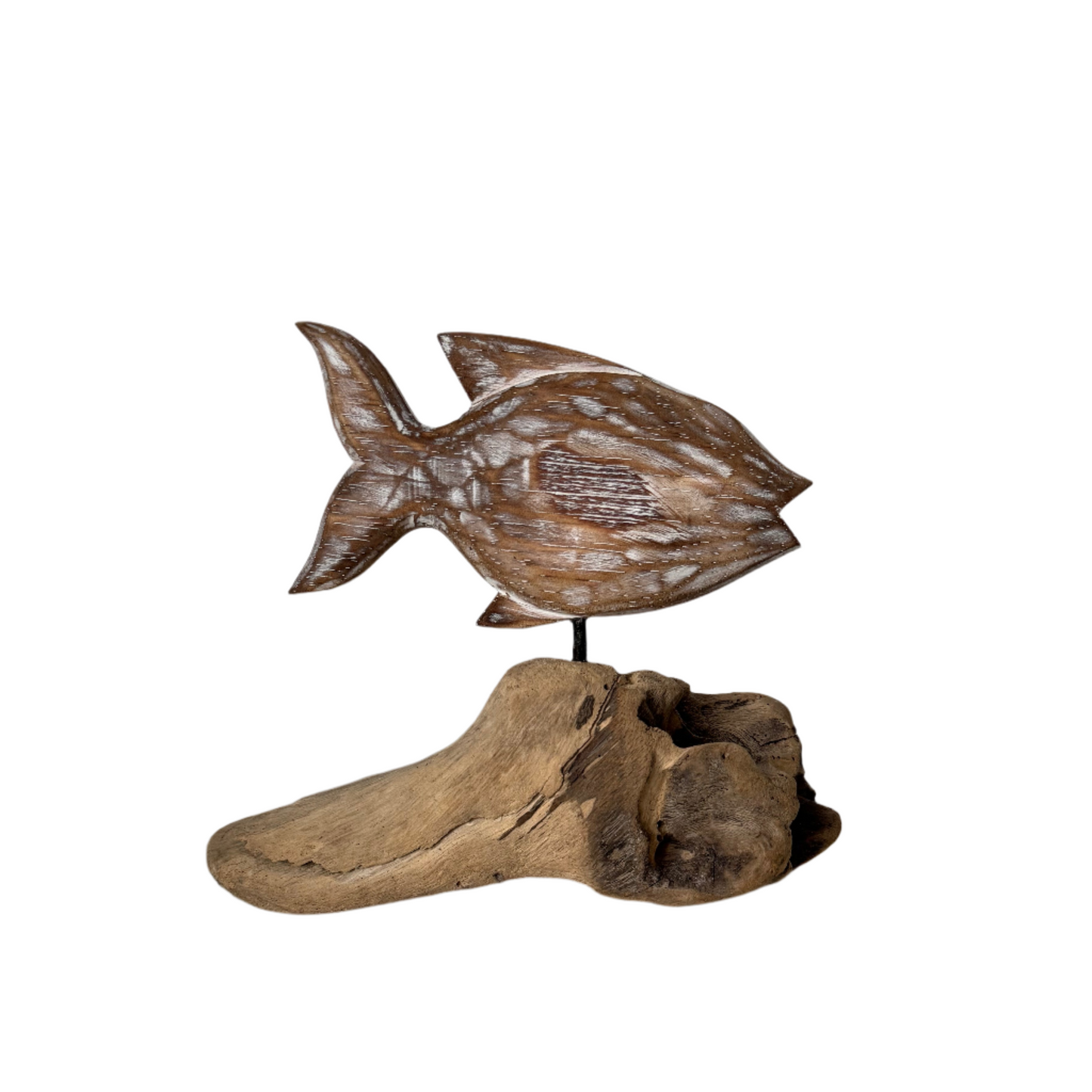 Driftwood Fish Decor - Natural
