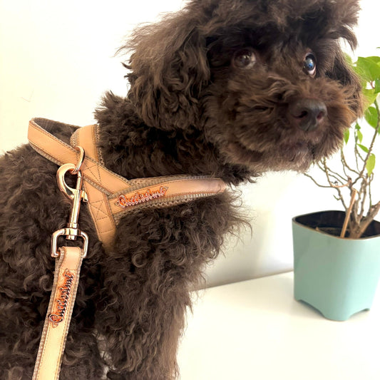 Peach Genuine Leather Leash