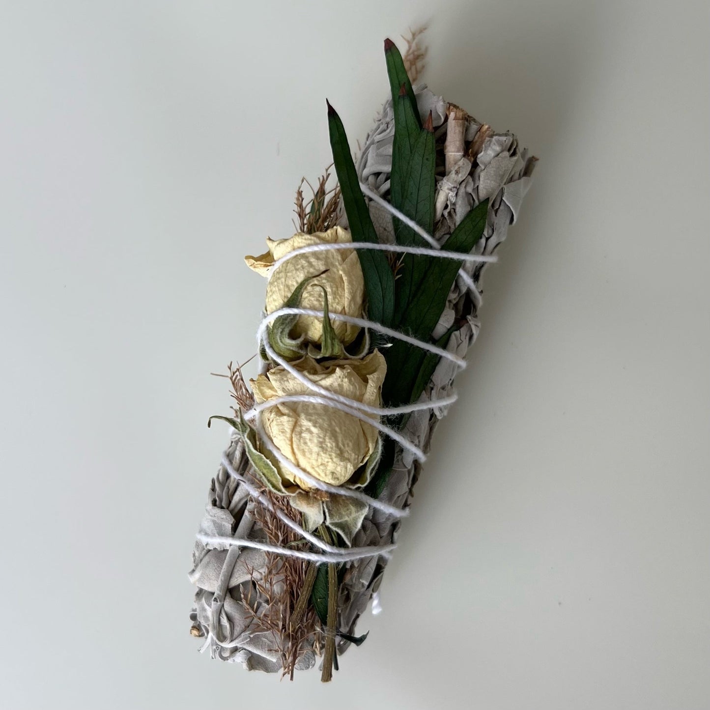 Bâton de sauge blanche | Rosettes + parvi