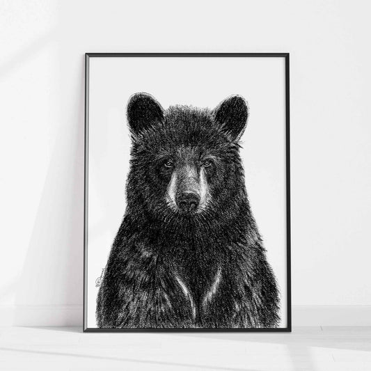 Black Bear Portrait - Rigid Framed Canvas