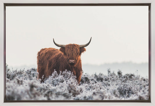 Wall Art Highlander