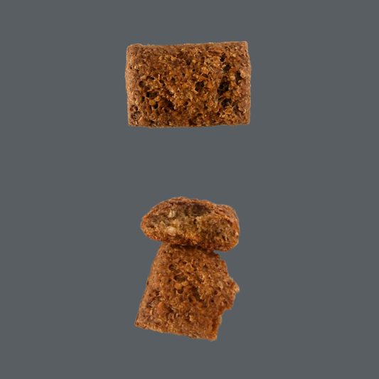 Biscuit au saumon