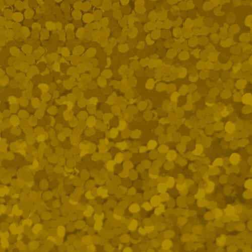 Craft Holographic HTV Gold