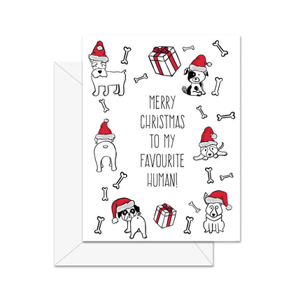 Merry Christmas To My Favourite Human! (Dog) - Greeting Card
