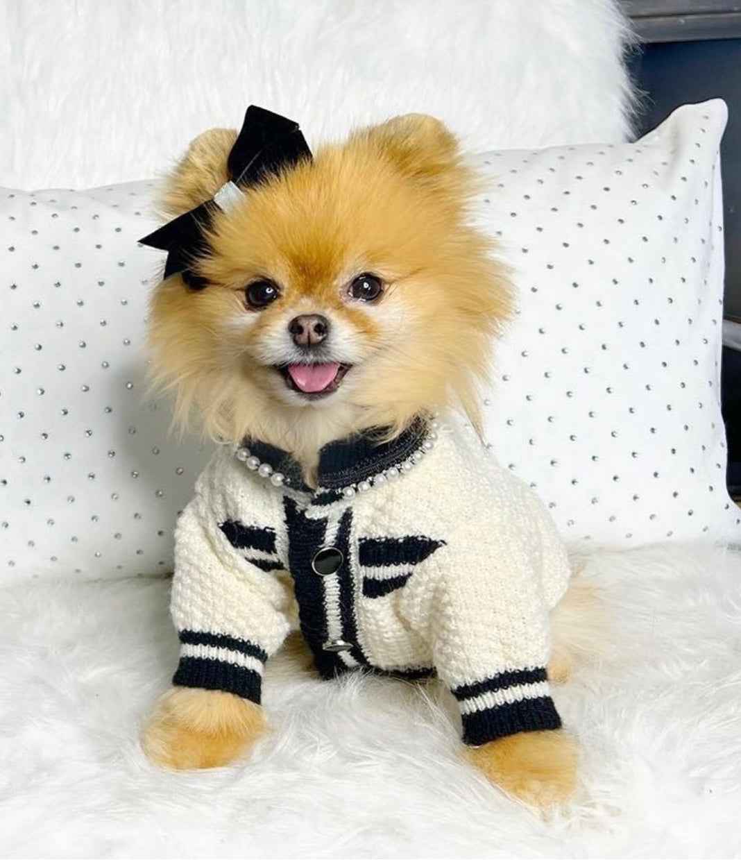 Coco Button Dog Sweater – Classic Knit Outfit for Dogs