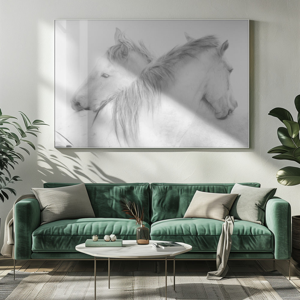 Horses