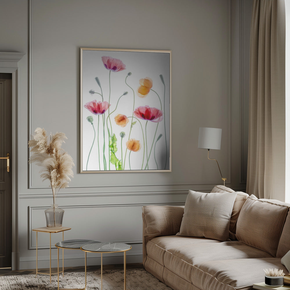 Wall art Poppies1