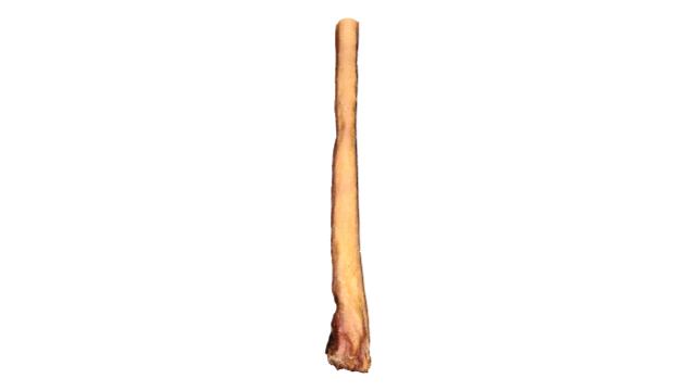 12" Monster Bully Stick