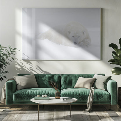 Wall art White