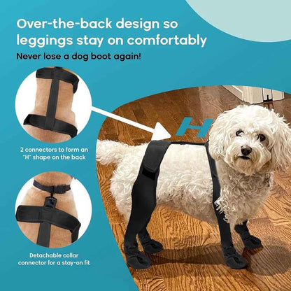 Dog Boots