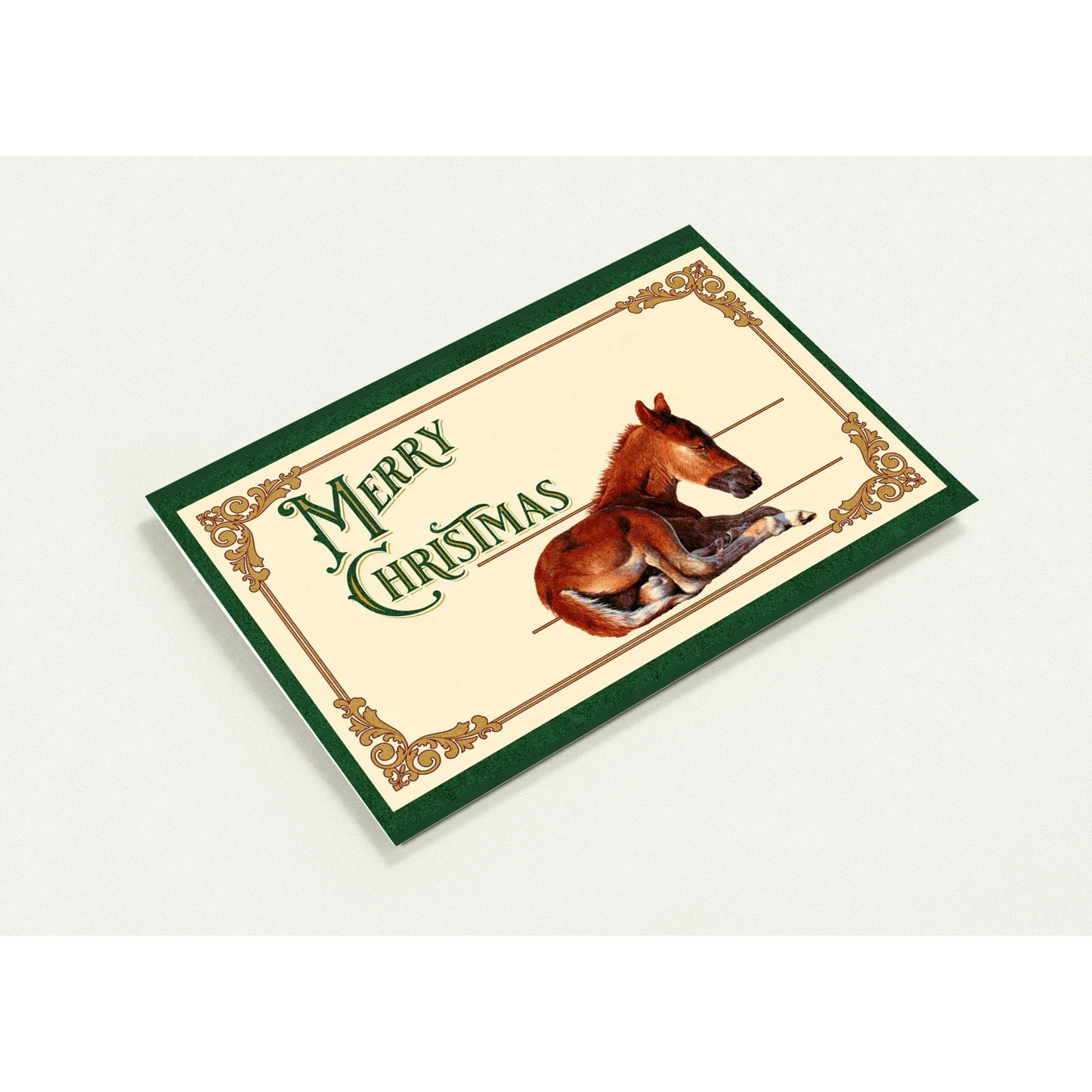 Sleepy Foal Christmas Card – Premium Pack of 10 Greeting Cards