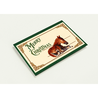 Sleepy Foal Christmas Card – Premium Pack of 10 Greeting Cards