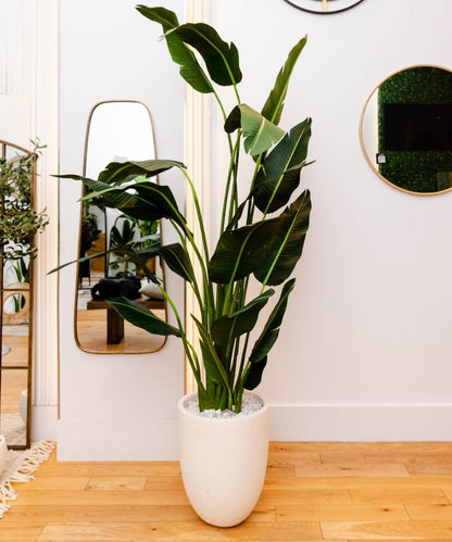 Yelapa Cement Planter (Multiple Sizes)