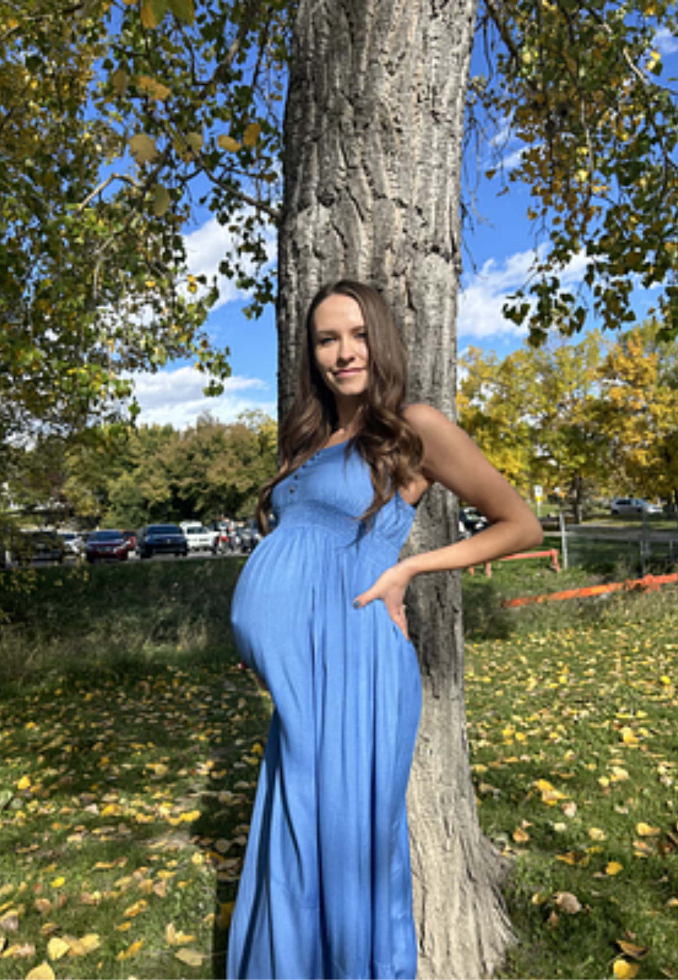 Bamboo Empire Waist Maternity Dress