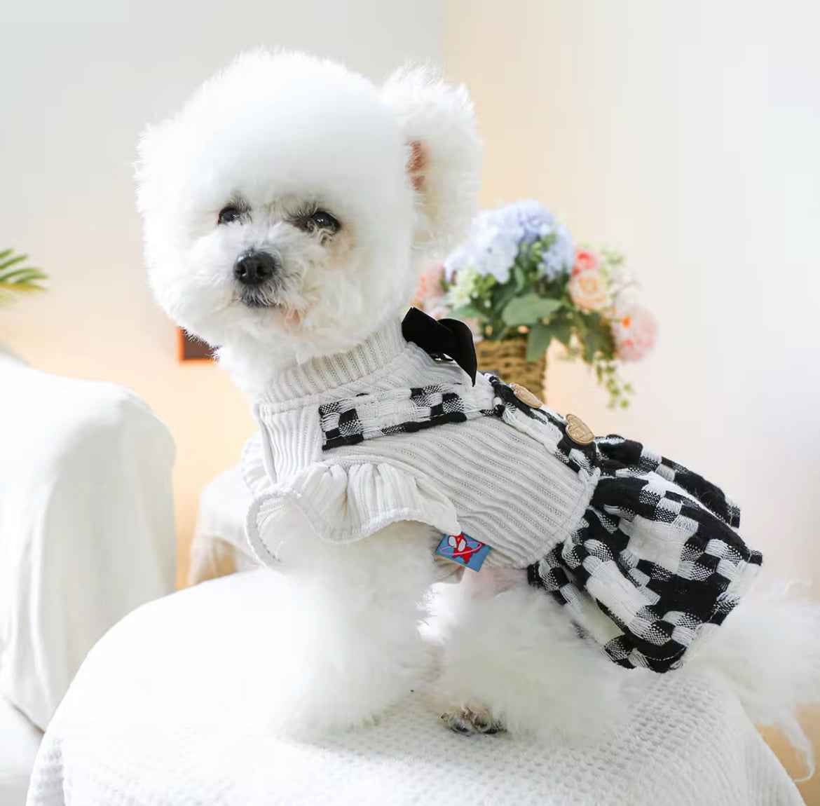 Lisa Dog Dress | Dog Dress for Special Occasions
