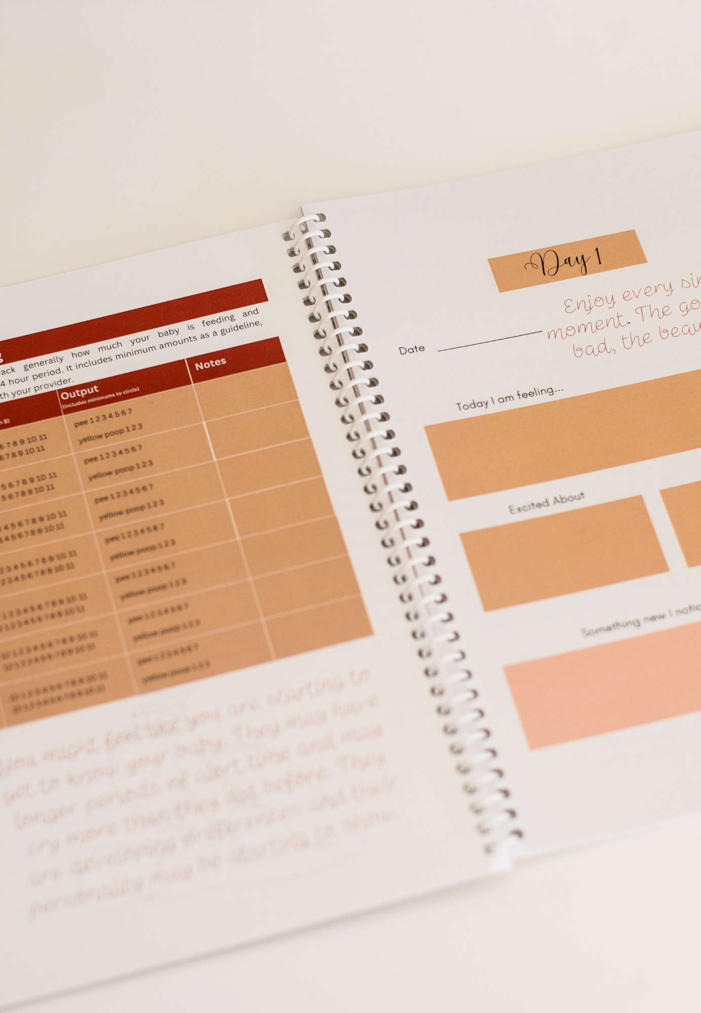 Postpartum Journal by Jess and Lee Maternity