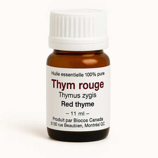 Thym rouge