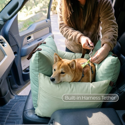 marco travel pet bed