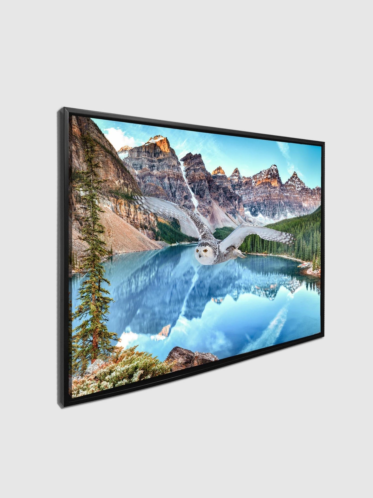 Leinwand-Tierkunst – Schneeeule bei Banff – Gedrucktes Kunstwerk