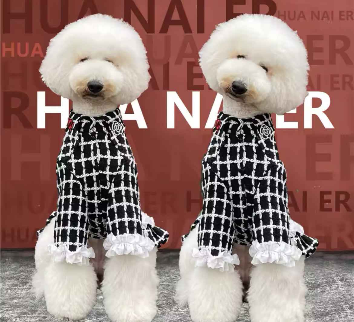 Coco Chewnel Dog Blouse | Dog Blouse for Large Dogs