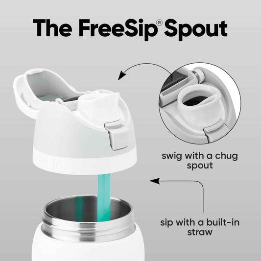 Owala FreeSip Insulated Stainless Steel Water Bottle with Straw, BPA-Free Sports Water Bottle, Great for Travel, 32 Oz, Crown Jewel 🍁 All In One Marketplace Canada