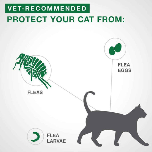 Advantage II Flea Protection for Large Cats weighing over 4 kg (over 9 lbs.) - 4 doses 🍁 All In One Marketplace Canada