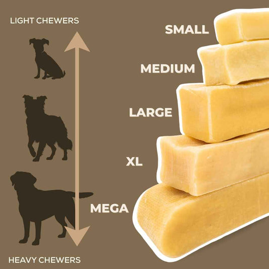 Bully Bunches Large Authentic Yak Cheese Himalayan Chews for Large Dogs & Heavy Chewers - All Natural Dog Treat Dental Chews, Made with Real Yak Milk - Lactose & Rawhide Free (2 Pk) 🍁 All In One Marketplace Canada