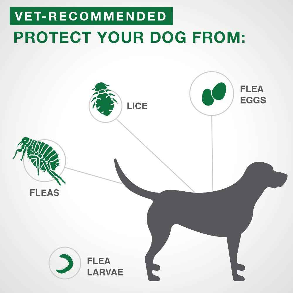 Advantage II - Flea Protection - XL Dogs - Vet Recommended - 2-pack 🍁 All In One Marketplace Canada