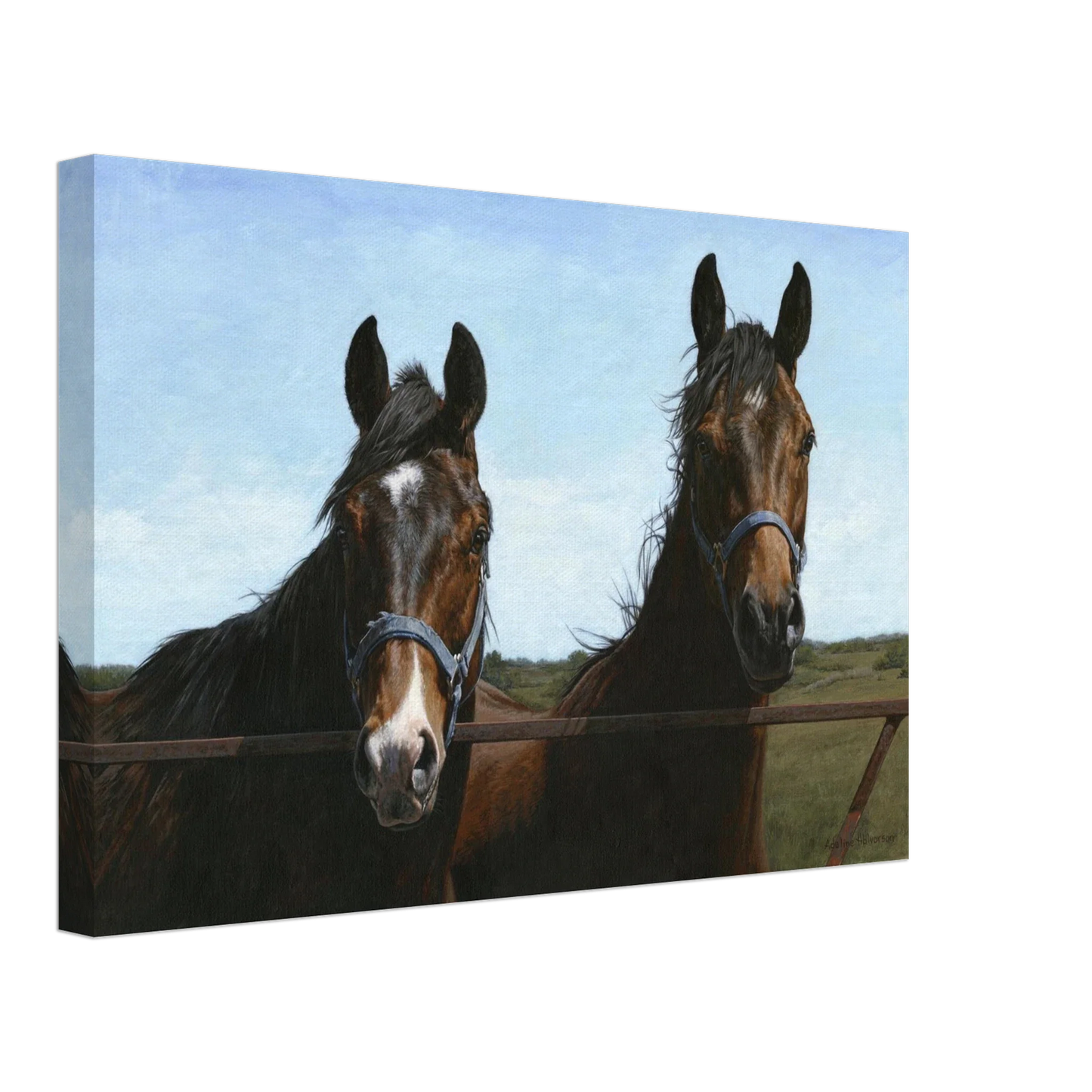 The Visit Canvas