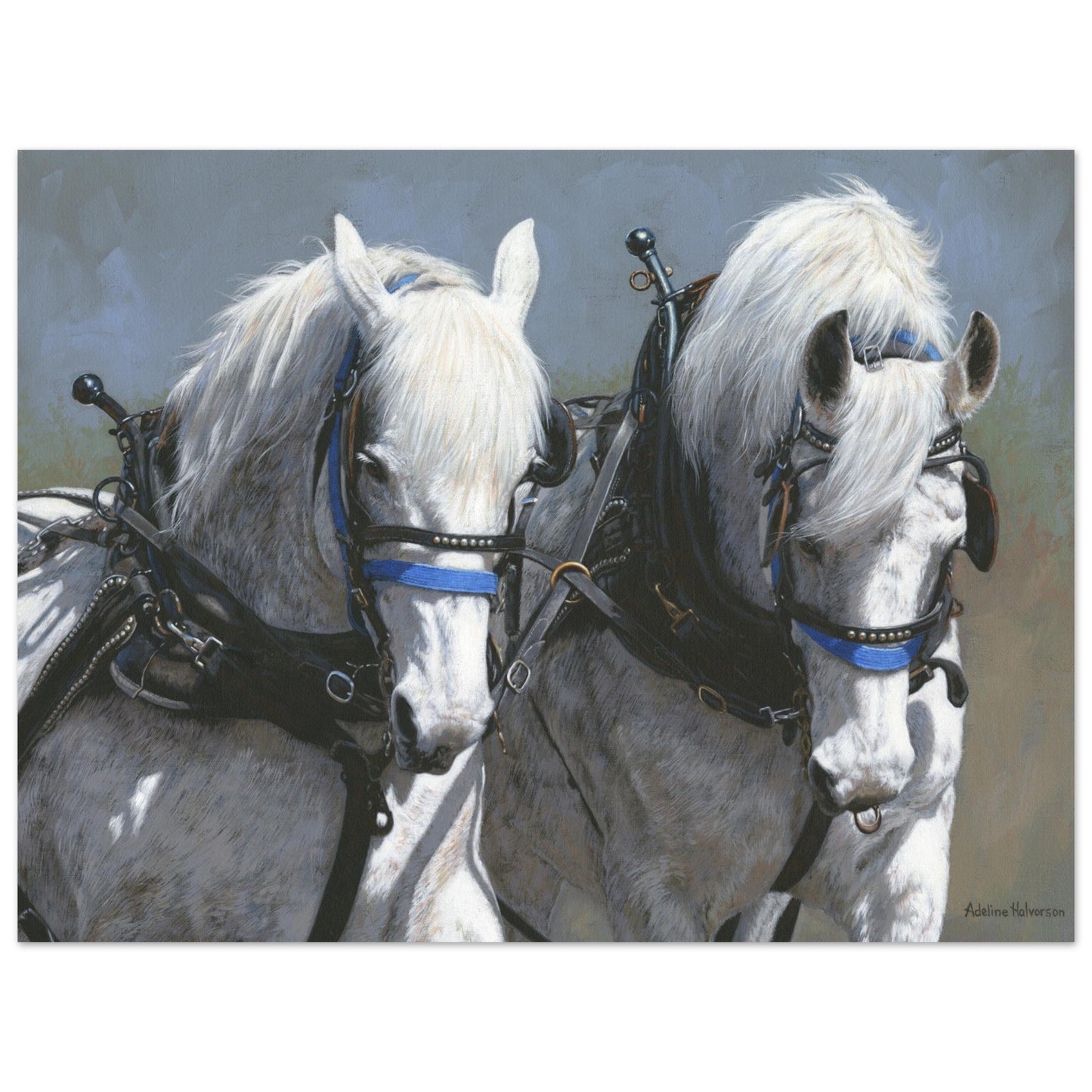 POWER AND GRACE Fine art print