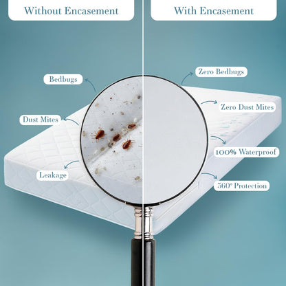 Utopia Bedding Zippered Mattress Encasement Full/Double - 100% Waterproof and Bed Bug Proof Mattress Protector - Absorbent, Six-Sided Mattress Cover 🍁 All In One Marketplace Canada
