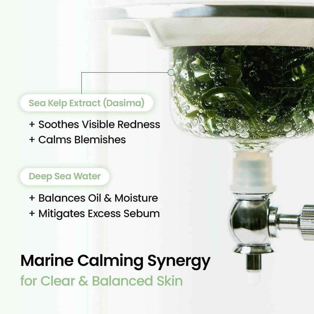 BIODANCE Refreshing Sea kelp Real Deep Mask, Hydrogel Mask, Calming, Oil & Sebum Control, Blemish Care, Korean Skincare, 1.19oz(34g) x 4eaBIODANCE Refreshing Sea kelp Real Deep Mask, Hydrogel Mask, Calming, Oil & Sebum Control, Blemish Care, Korean Skinca