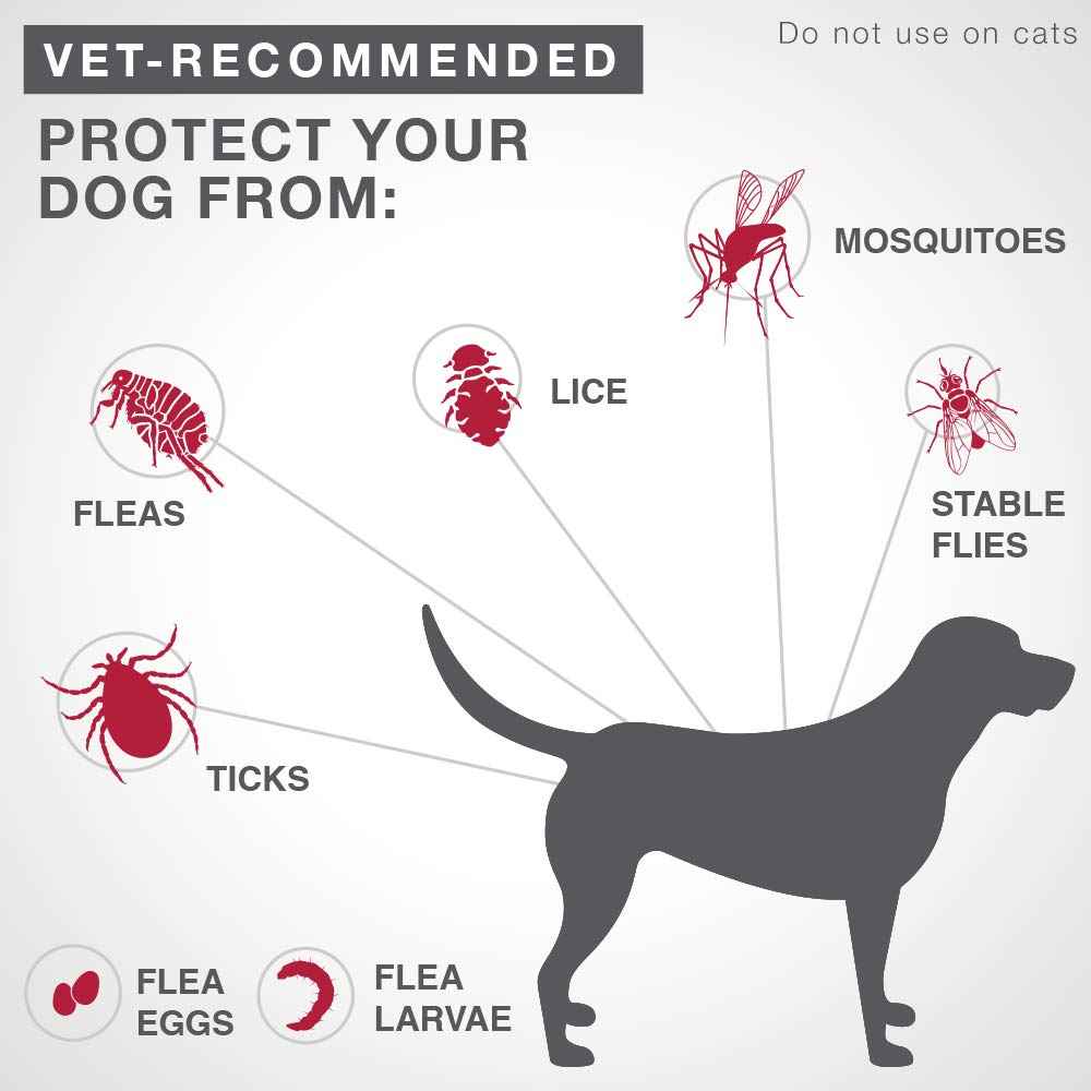 K9 Advantix II - Flea/Tick Prevention - Vet Recommended - Large Dog - 2-Pk 🍁 All In One Marketplace Canada