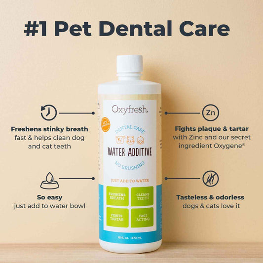 Oxyfresh Premium Pet Dental Care Solution Pet Water Additive: Best Way to Eliminate Bad Dog Breath and Cat Bad Breath - Fights Tartar & Plaque - So Easy, Just Add to Water! Vet Recommended 16 oz. 🍁 All In One Marketplace Canada