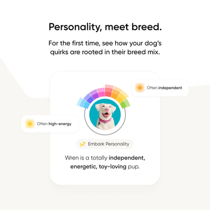 Embark Breed Identification Kit Most Accurate Dog DNA Test Test 350+ Dog Breeds Breed ID Kit with Ancestry & Family Tree 🍁 All In One Marketplace Canada