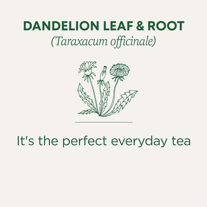 Traditional Medicinals - Organic Dandelion Leaf and Root Herbal Tea (Pack of 6) - 96 Tea Bags Total 🍁 All In One Marketplace Canada